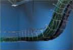 Snake Tray® | Hand Bendable Cable Tray for Under Floors, Overhead and Walls