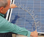 solar snake tray